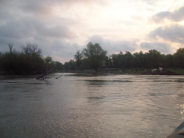 delta Mila 23 - sany5299.JPG